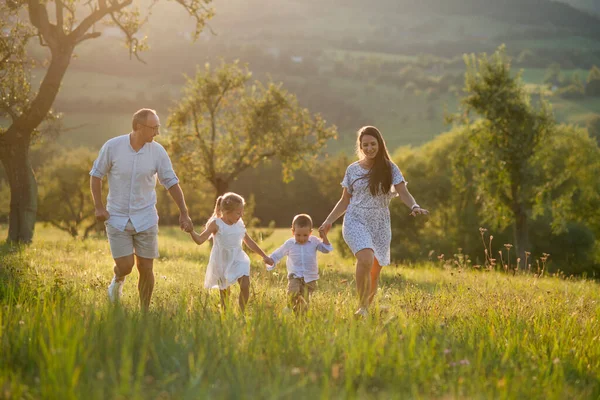 Junge Familie mit zwei kleinen Kindern, die bei Sonnenuntergang auf der Wiese spazieren gehen. — Stockfoto