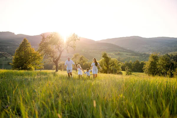 Jeune famille avec deux jeunes enfants marchant sur la prairie à l'extérieur au coucher du soleil . — Photo