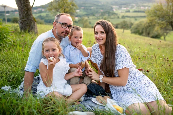 Jonge familie met twee kleine kinderen op weide buiten, picknick. — Stockfoto