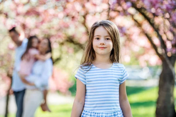 En liten flicka med familj ute i vårnaturen, tittar på kameran. — Stockfoto