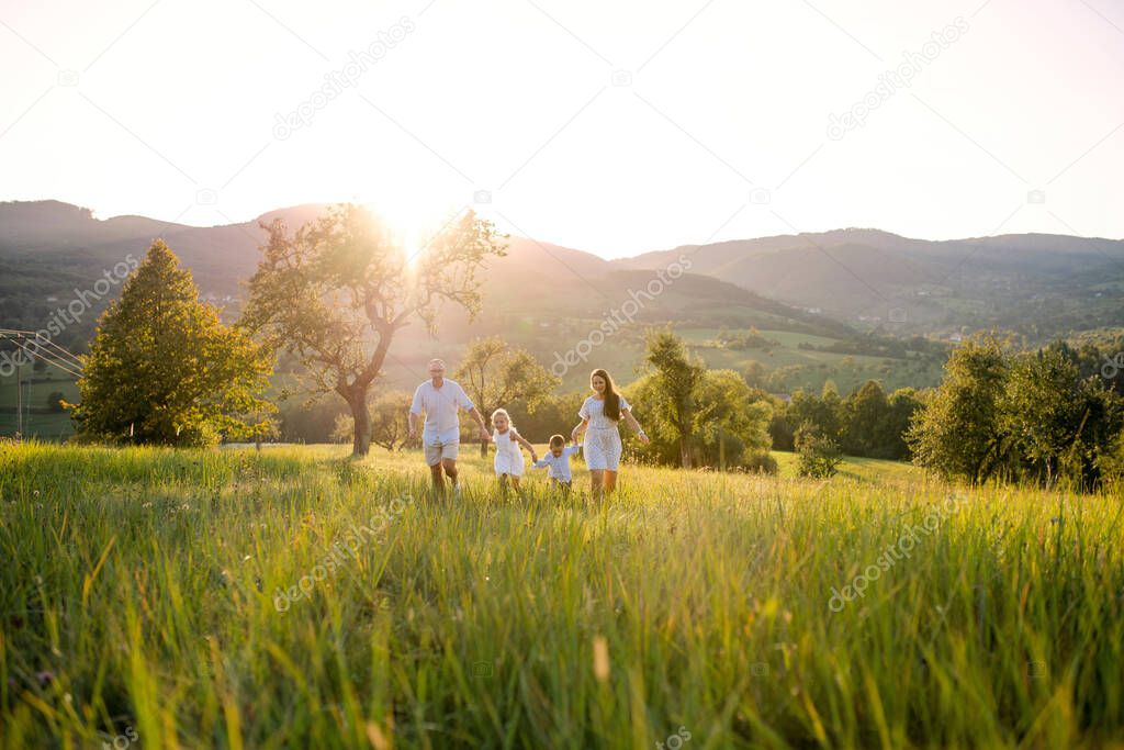 Young family with two small children walking on meadow outdoors at sunset.