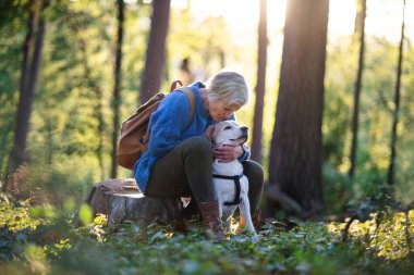 Köpekli son sınıf bir kadın ormanda yürüyüşe çıkmış, dinleniyor..