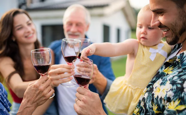 Retrato de pessoas com vinho ao ar livre no churrasco jardim da família . — Fotografia de Stock