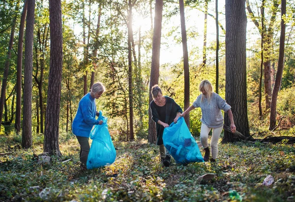 Старші друзі, які збирають сміття на відкритому повітрі в лісі, концепція занурення . — стокове фото