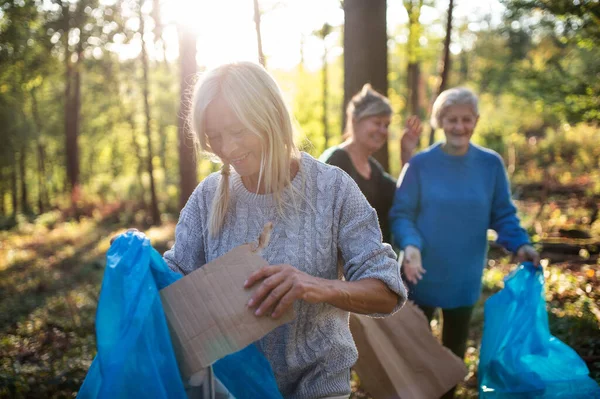 Donne anziane amiche raccogliere rifiuti all'aperto nella foresta un concetto di plogging . — Foto Stock