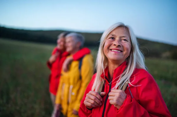 Mujeres mayores amigas paseando al aire libre en la naturaleza al atardecer . — Foto de Stock