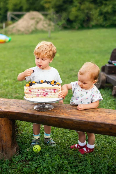 Двое детей-малышей с праздничным тортом в саду летом . — стоковое фото