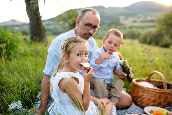 Father with two small children on meadow outdoors, having picnic. — Stock Photo, Image