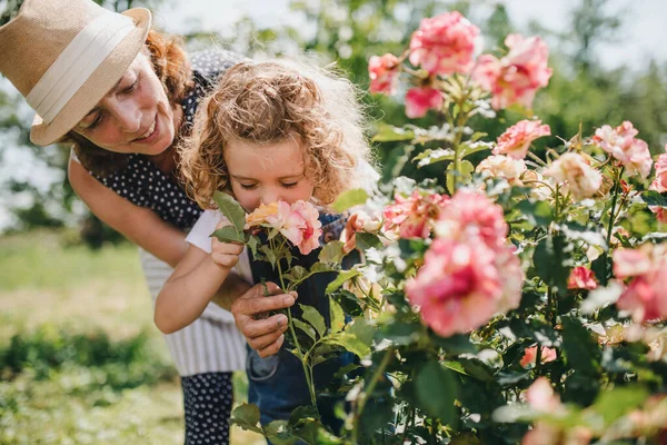 Small girl with senior grandmother smelling roses in the backyard garden. — Stock Photo, Image