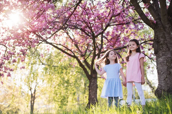 Two small girls standing outside in spring nature. Copy space.