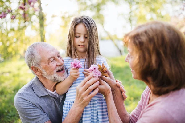 Abuelos mayores con pequeño nieto sentado fuera en la naturaleza de primavera . — Foto de Stock