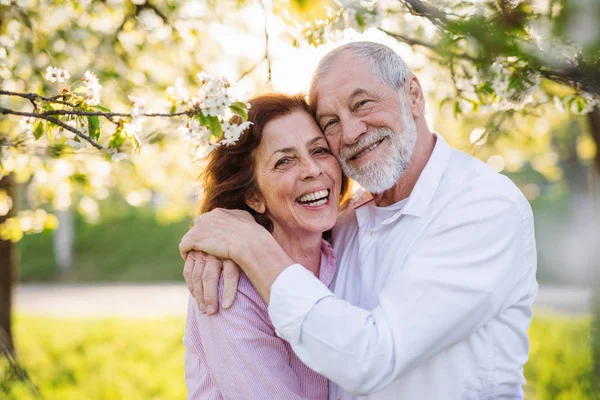 Hermosa pareja de ancianos enamorados al aire libre en la naturaleza de primavera, abrazos . — Foto de Stock