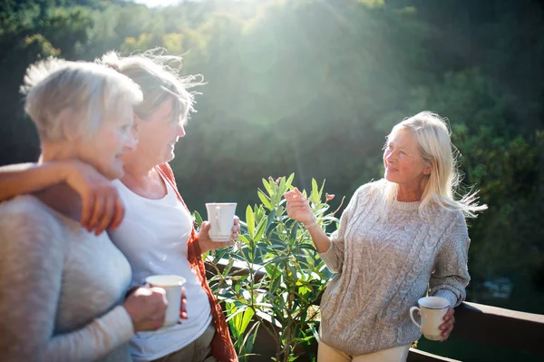 Vezető női barátok állnak a teraszon, beszélgetnek. — Stock Fotó