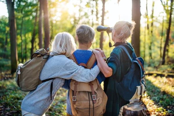 Vista trasera de las amigas mayores al aire libre en el bosque, usando prismáticos . — Foto de Stock