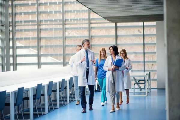 Bir grup doktor tıp konferansında koridorda yürüyor.. — Stok fotoğraf