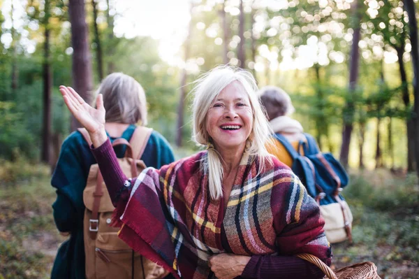 Senior women friends walking outdoors in forest. — Stock Photo, Image