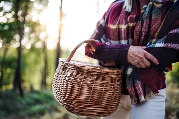 Seniorin geht mit Korb im Wald spazieren. — Stockfoto