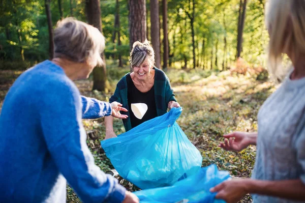 Donne anziane amiche raccogliere rifiuti all'aperto nella foresta, un concetto di plogging . — Foto Stock