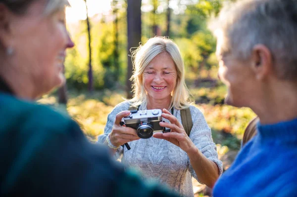 Senior ženy přátelé procházky venku v lese, fotografování s kamerou. — Stock fotografie