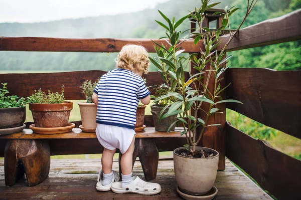 Bakifrån av småbarn pojke står utomhus på en terrass på sommaren. — Stockfoto