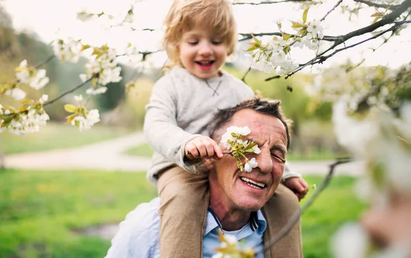 Großvater mit Kleinkind-Enkel steht im Frühling in der Natur. — Stockfoto