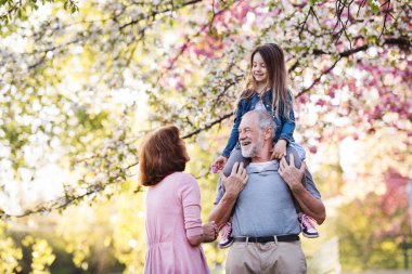 Senior grandparents with small granddaugther outside in spring nature. clipart