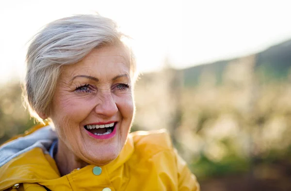 Close-up van oudere vrouw in boomgaard in het voorjaar, lachend. Kopieerruimte. — Stockfoto