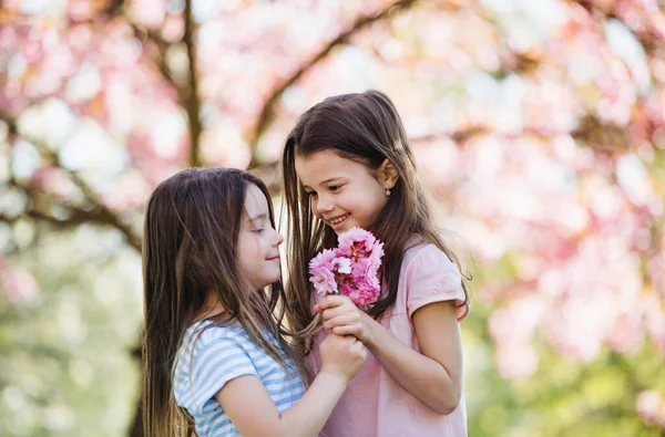 Bahar doğasında iki küçük kız ellerinde çiçeklerle dışarıda bekliyor.. — Stok fotoğraf