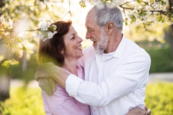 Vackra äldre par förälskade utanför i vårnaturen, kramas. — Stockfoto