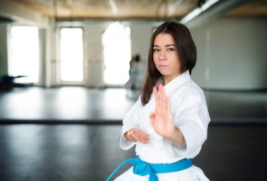 Spor salonunda karate yapan genç bir kadın. Boşluğu kopyala.