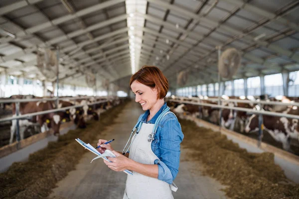 Donna medico veterinario che lavora in azienda agricola diario, l'industria agricola . — Foto Stock