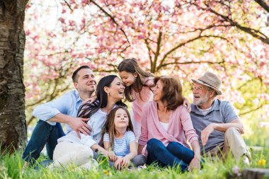 Three generation family sitting outside in spring nature. clipart