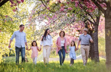 Three generation family walking outside in spring nature. clipart