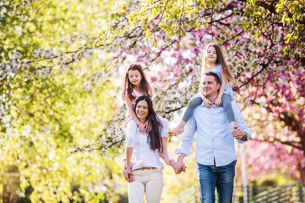 Fiatal szülők kislányokkal, akik a tavaszi természetben sétálnak. — Stock Fotó