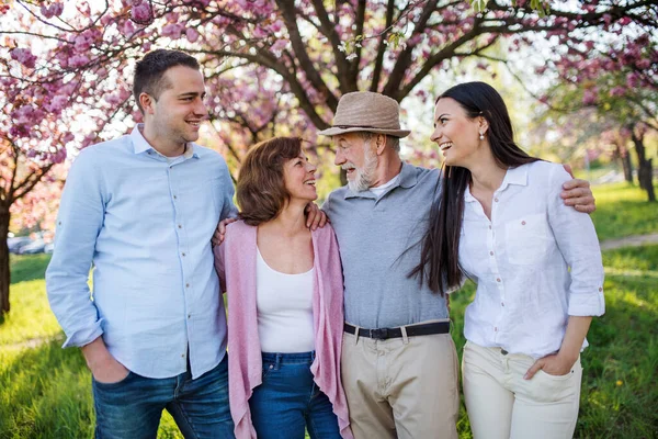 Young couple with senior parents walking outside in spring nature.