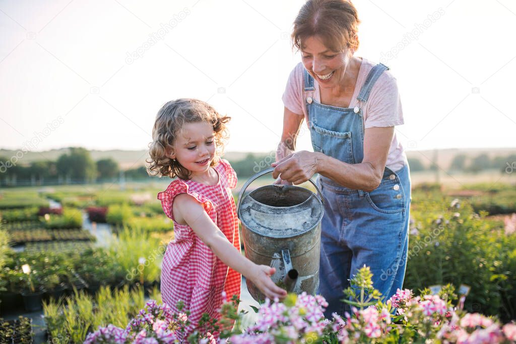 Small girl with senior grandmother gardening in garden center.