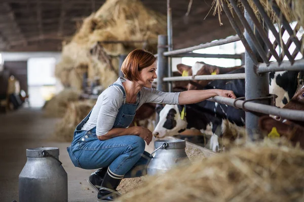 Kobieta z sianem pracująca w gospodarstwie rolnym, rolnictwo. — Zdjęcie stockowe