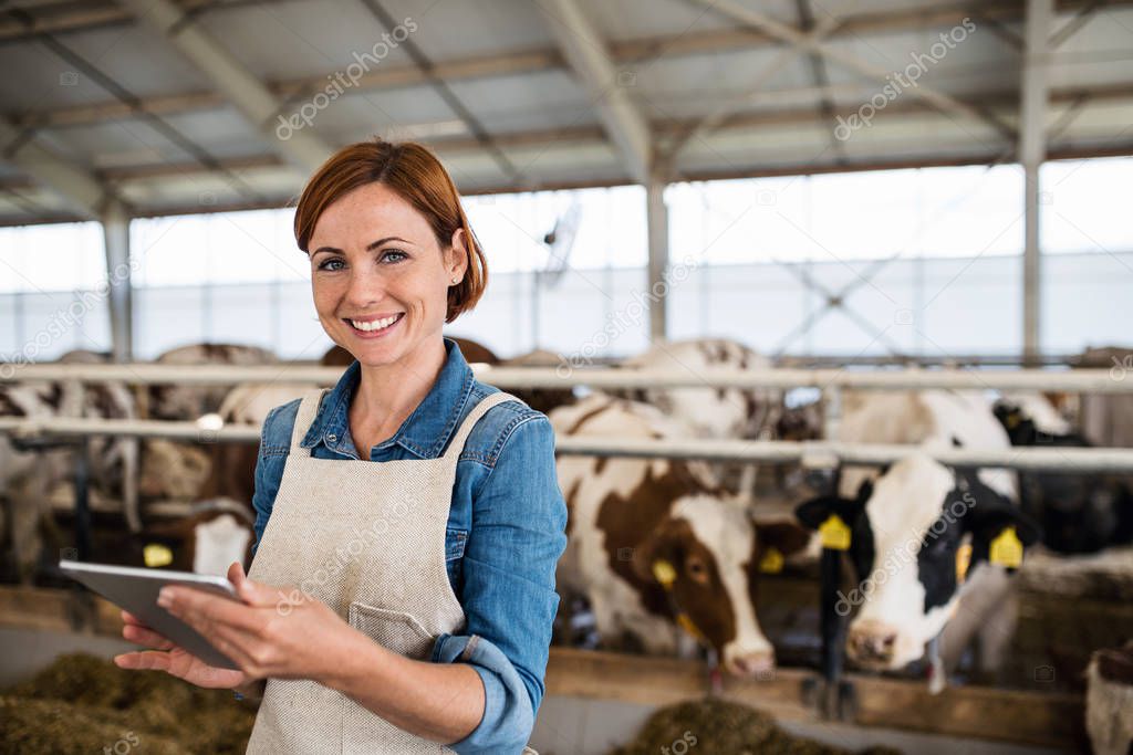 Woman manager with tablet working on diary farm, agriculture industry.