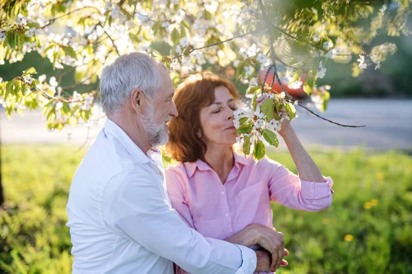 Schönes Seniorenpaar verliebt draußen in der Frühlingsnatur. — Stockfoto