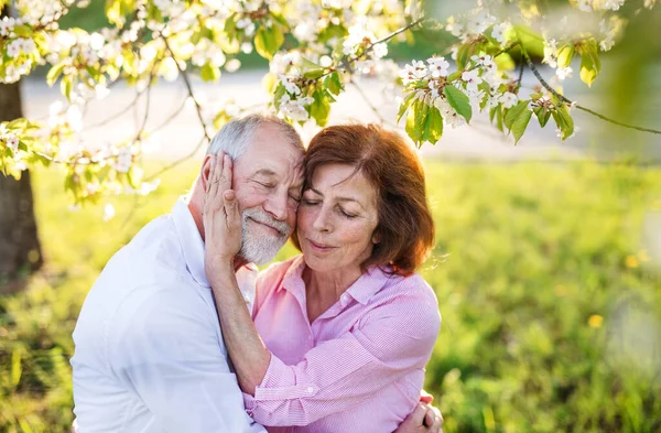 Hermosa pareja de ancianos enamorados al aire libre en la naturaleza de primavera, abrazos . —  Fotos de Stock