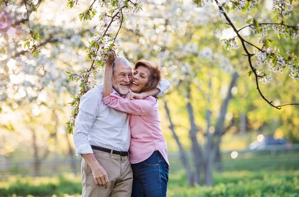 Vackra äldre par förälskade utanför i vårnaturen, kramas. — Stockfoto