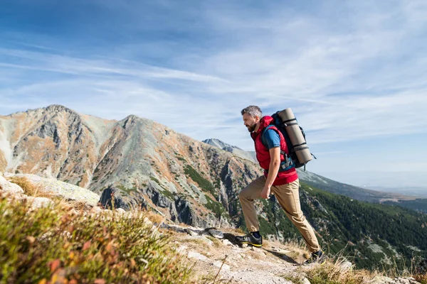 Mature man with backpack hiking in mountains in summer. — Stockfoto