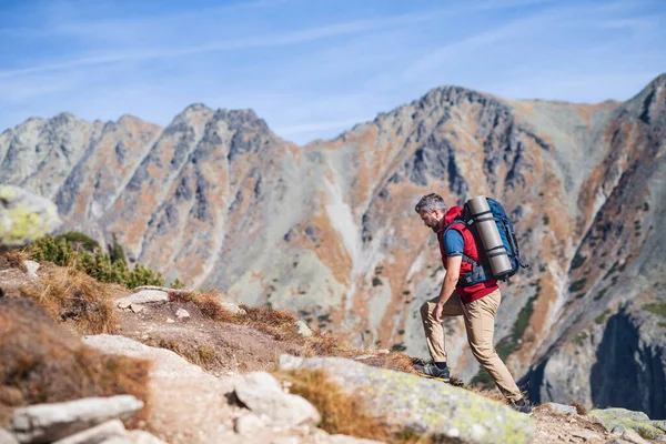 Mature man with backpack hiking in mountains in summer. — Stock fotografie