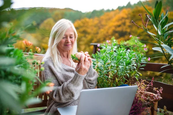 Mujer mayor con portátil sentado al aire libre en la terraza, almorzando . — Foto de Stock