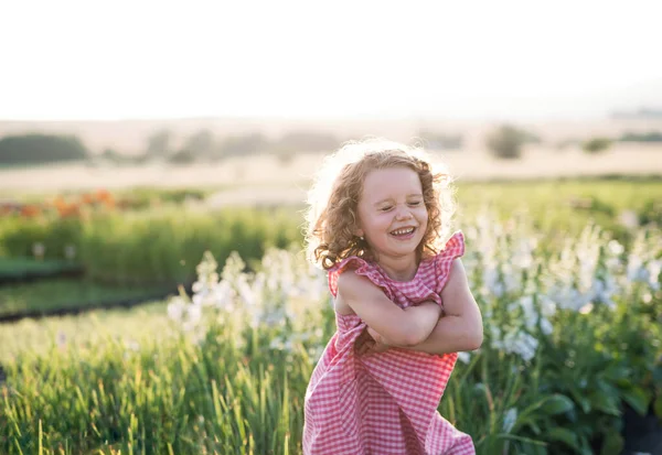 뒤뜰 정원에 서있는 작은 소녀의 초상화. — 스톡 사진