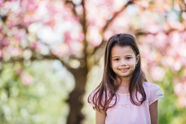 Una piccola ragazza allegra in piedi fuori nella natura primaverile . — Foto Stock