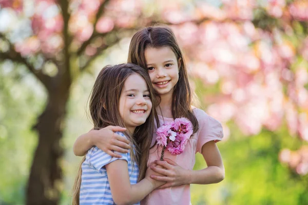 Two small girls standing outside in spring nature. Copy space. — Stock Photo, Image