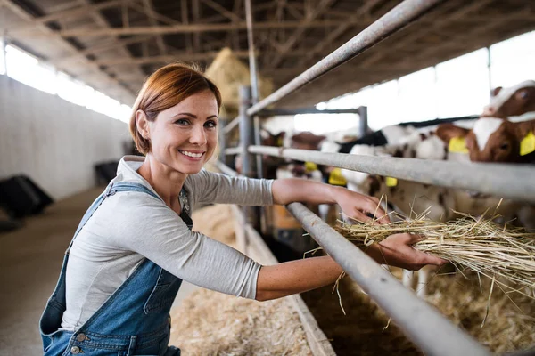 Kobieta z sianem pracująca w gospodarstwie rolnym, rolnictwo. — Zdjęcie stockowe