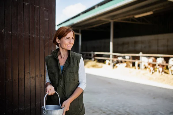 Arbeiterin mit Konservendosen arbeitet auf Bauernhof, Landwirtschaft. — Stockfoto