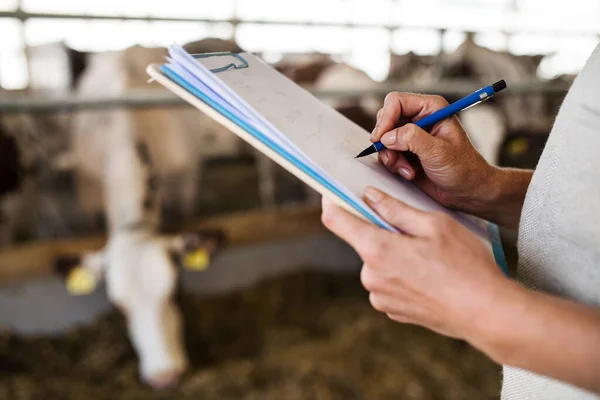 Unrecognizable manager with clipboard working on diary farm, agriculture industry. — Stock Photo, Image